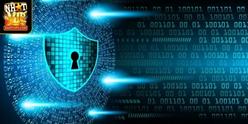 Thông tin chính sách bảo mật dữ liệu 