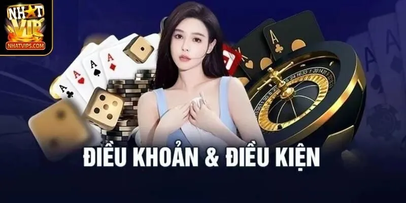 Nắm bắt những thông tin về điều khoản điều kiện 